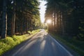 Empty country road in forest