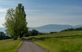Empty country road in leading through green grass meadows to mountains in the background