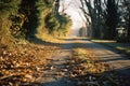 an empty country road with leaves on the ground