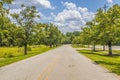 Empty country road lined with green trees Royalty Free Stock Photo