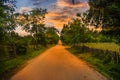 Empty country road at sunset with green fields and trees on both sides. Dramatic twilight sky with the sunlight reflected on the Royalty Free Stock Photo