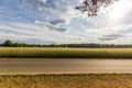 Empty country road - wheat field background and blue sky Royalty Free Stock Photo