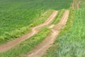 Empty country road through the wheat fields Royalty Free Stock Photo