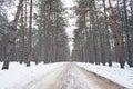 Empty country road in winter, road trip concept. Trees and roadside in the snow, winter trip Royalty Free Stock Photo