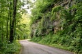 Empty country winding roads through a forest