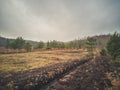 Empty Countryside Landscape in Swamp Royalty Free Stock Photo