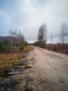 Empty Countryside Landscape in Swamp Royalty Free Stock Photo