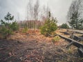 Empty Countryside Landscape in Swamp with Few Logs in Foreground Royalty Free Stock Photo