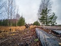 Empty Countryside Landscape in Swamp with Few Logs in Foreground Royalty Free Stock Photo