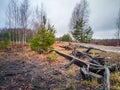 Empty Countryside Landscape in Swamp with Few Logs in Foreground Royalty Free Stock Photo