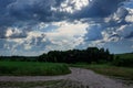 countryside road through fields with wheat Royalty Free Stock Photo