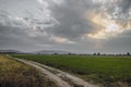 Empty countryside road through fields with wheat. Azerbaijan Big Caucasus. Sheki. Oguz Royalty Free Stock Photo
