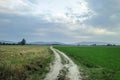 Empty countryside road through fields with wheat. Azerbaijan Big Caucasus. Sheki. Oguz Royalty Free Stock Photo