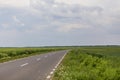 An empty countryside road with grain fields on both sides Royalty Free Stock Photo