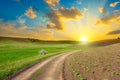 Empty countryside road through spring fields