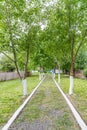 Empty courtyard in springtime