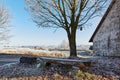 Empty coutryside bench with field birdhouse and tree