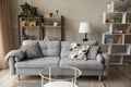 Empty cozy living room with grey comfortable sofa Royalty Free Stock Photo