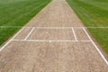 Empty cricket pitch background green grass sport field Royalty Free Stock Photo