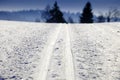 Empty cross-country ski track Royalty Free Stock Photo