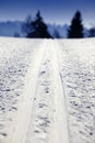 Empty cross-country ski track Royalty Free Stock Photo