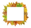 Empty Cube board with colorful leaves isolated on white Royalty Free Stock Photo