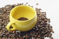 Empty Cup of Coffee Royalty Free Stock Photo