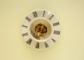 Empty cup of coffee on small plate on yellow background Royalty Free Stock Photo