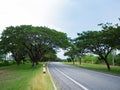 Empty curved road Royalty Free Stock Photo