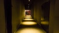 Empty dark corridor in apartment building in perspective view with copy space. Royalty Free Stock Photo