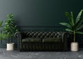 Empty dark green wall in modern living room. Mock up interior in classic style. Free space, copy space for your picture Royalty Free Stock Photo