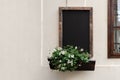 Empty dark wooden chalkboard mockup, flowers in outdoor planter, hanging on wall facade of authentic retro cafe. Menu Royalty Free Stock Photo