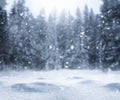 Empty defocused winter background