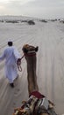 Scenic view of empty desert area in Sealine, Qatar during camel riding in sand dunes. Royalty Free Stock Photo