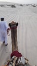 Scenic view of empty desert area in Sealine, Qatar during camel riding in sand dunes. Royalty Free Stock Photo