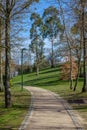 Empty dirt path, track, trail or pathway through the trees and green grass lawn