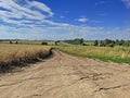 Dirt road along wheat field on the background of the road with trees and blue sky with clouds Royalty Free Stock Photo