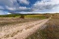 Empty dirt road at autumn sunny day