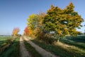 An empty dirt road in autumn time, South Moravia