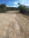 Empty dirt road among subtropical bushes. The trail leading to the mountains. Cape Greco near Ayia Napa.