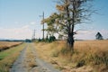 an empty dirt road with telephone poles in the distance