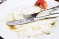 Empty dirty plate Royalty Free Stock Photo