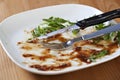 Empty dish after food Royalty Free Stock Photo