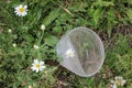 Empty disposable plastic cup on the grass with white daisy flowers. Plastic waste pollution concept. Top view. Copy space Royalty Free Stock Photo