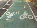 Empty Double Cycling Road in New York Royalty Free Stock Photo