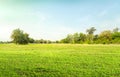 Empty dry cracked swamp reclamation soil, land plot for housing construction Green meadow, beautiful views and beautiful blue sky Royalty Free Stock Photo