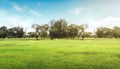 Empty dry cracked swamp reclamation soil, land plot for housing construction Green meadow, beautiful views and beautiful blue sky Royalty Free Stock Photo