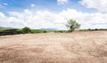 Empty dry cracked swamp reclamation soil, land plot for housing construction project with car tire print in rural area and