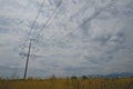 The empty dry grassland under the power lines Royalty Free Stock Photo