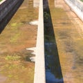 Empty hatchery channels